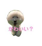 王子くんstamp（個別スタンプ：16）