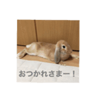 ちゃちゃスタ①（個別スタンプ：4）
