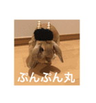 ちゃちゃスタ①（個別スタンプ：5）