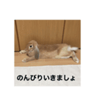ちゃちゃスタ①（個別スタンプ：6）