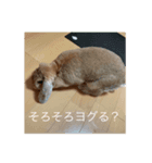 ちゃちゃスタ①（個別スタンプ：8）