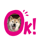 梅吉くん 壱ノ巻（個別スタンプ：4）