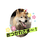 梅吉くん 壱ノ巻（個別スタンプ：13）