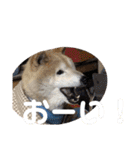 梅吉くん 壱ノ巻（個別スタンプ：14）