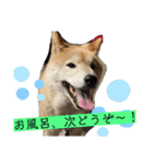 梅吉くん 壱ノ巻（個別スタンプ：17）