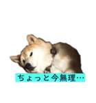梅吉くん 壱ノ巻（個別スタンプ：27）