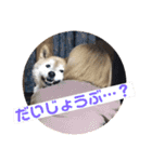 梅吉くん 壱ノ巻（個別スタンプ：30）