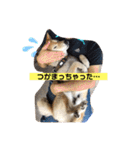 梅吉くん 壱ノ巻（個別スタンプ：31）