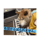 梅吉くん 壱ノ巻（個別スタンプ：32）