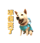[激かわ] 癒し大集合（個別スタンプ：14）