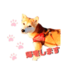 [激かわ] 癒し大集合（個別スタンプ：19）