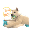 [激かわ] 癒し大集合（個別スタンプ：30）