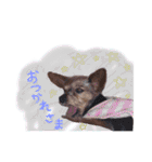 はなちゃん2U^ェ^U（個別スタンプ：18）