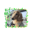 さくま9（個別スタンプ：2）