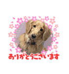 さくま9（個別スタンプ：3）
