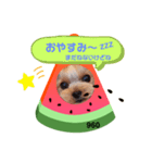 ヨーキーくろまるの使えるスタンプ（個別スタンプ：6）