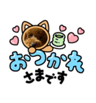 茶々丸❤️（個別スタンプ：5）