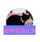黒猫姉妹ローズ＆サクラの日常挨拶（個別スタンプ：4）