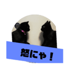 黒猫姉妹ローズ＆サクラの日常挨拶（個別スタンプ：8）
