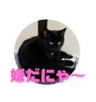 黒猫姉妹ローズ＆サクラの日常挨拶（個別スタンプ：10）