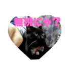 黒猫姉妹ローズ＆サクラの日常挨拶（個別スタンプ：14）