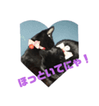 黒猫姉妹ローズ＆サクラの日常挨拶（個別スタンプ：16）
