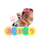 ゆんたんの日常（個別スタンプ：6）