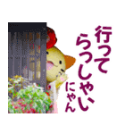 みっけちゃん 実写スタンプ 第1幕（個別スタンプ：17）