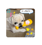 ラブリーわんにゃん（個別スタンプ：7）