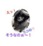 テンシンたつのり④（個別スタンプ：1）