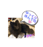 テンシンたつのり④（個別スタンプ：8）