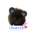テンシンたつのり④（個別スタンプ：9）