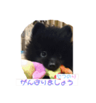 テンシンたつのり④（個別スタンプ：11）