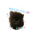 テンシンたつのり④（個別スタンプ：23）