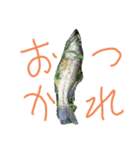 バス釣り楽しい（個別スタンプ：1）