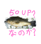 バス釣り楽しい（個別スタンプ：4）