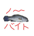 バス釣り楽しい（個別スタンプ：7）