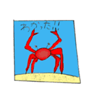 海の生き物智文コレクション（個別スタンプ：10）