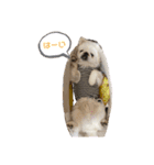 愛犬はる＆なっつ（個別スタンプ：2）