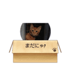 ミル♥️コタファミリー3(=^ェ^=)（個別スタンプ：6）