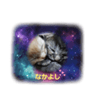 ミル♥️コタファミリー3(=^ェ^=)（個別スタンプ：21）