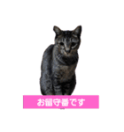 ミル♥️コタファミリー3(=^ェ^=)（個別スタンプ：26）