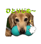 愛犬さっくんPart3（個別スタンプ：10）