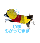 お顔が天才六ちゃんスタンプ（個別スタンプ：21）