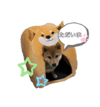 ちゃちゃまるスタンプオリジナル♪（個別スタンプ：4）