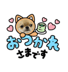 ポメチワのベイちゃん（個別スタンプ：10）