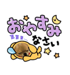 ポメチワのベイちゃん（個別スタンプ：16）