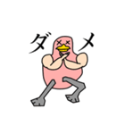 一般鳥スタンプ（個別スタンプ：4）