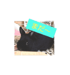 プチをさんとその仲間（個別スタンプ：15）
