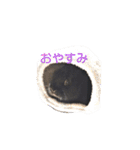 プチをさんとその仲間（個別スタンプ：17）
